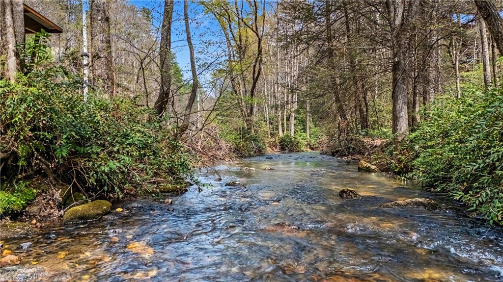 1790 Stanley Creek Road Cherry Log, GA 30522 - Photo 28 of 30 a view of a yard with plants and trees