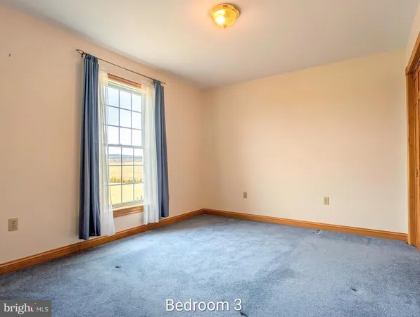 a view of an empty room with empty shelves