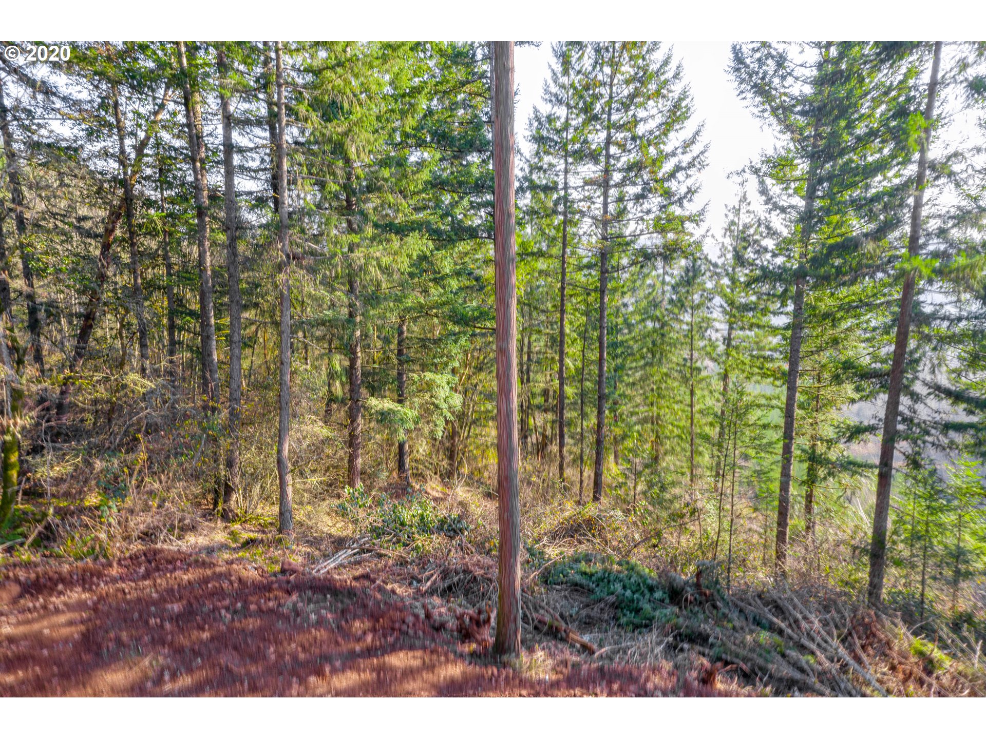 29757 Southwest Heater Road Sherwood, OR 97140 - Photo 22 of 32