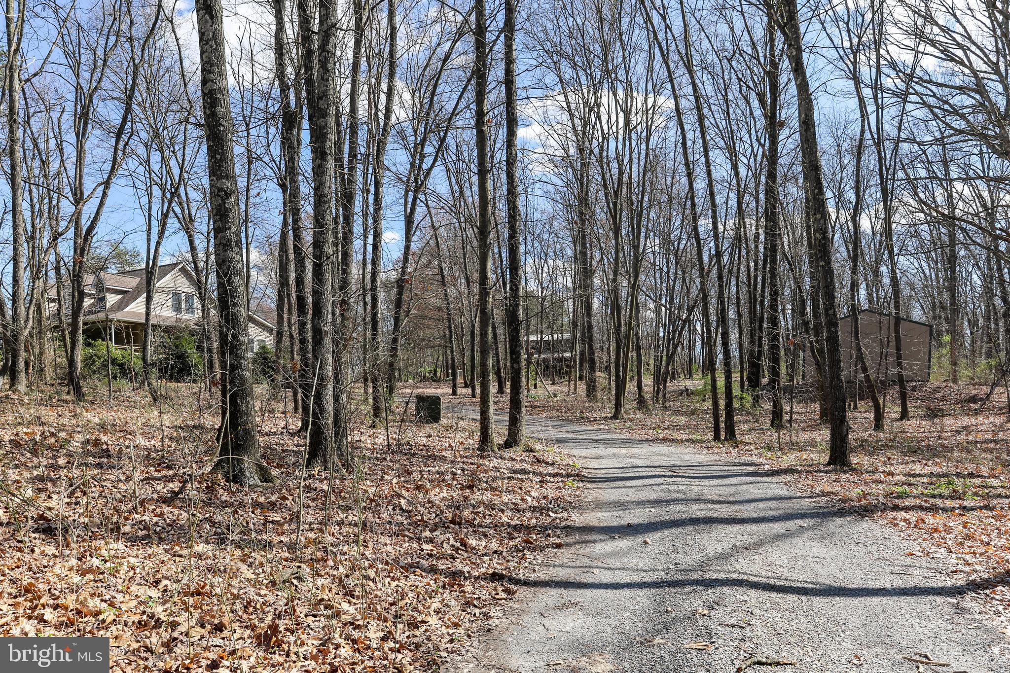 395 Packing House Road Berkeley Springs, WV 25411 - Photo 60 of 83