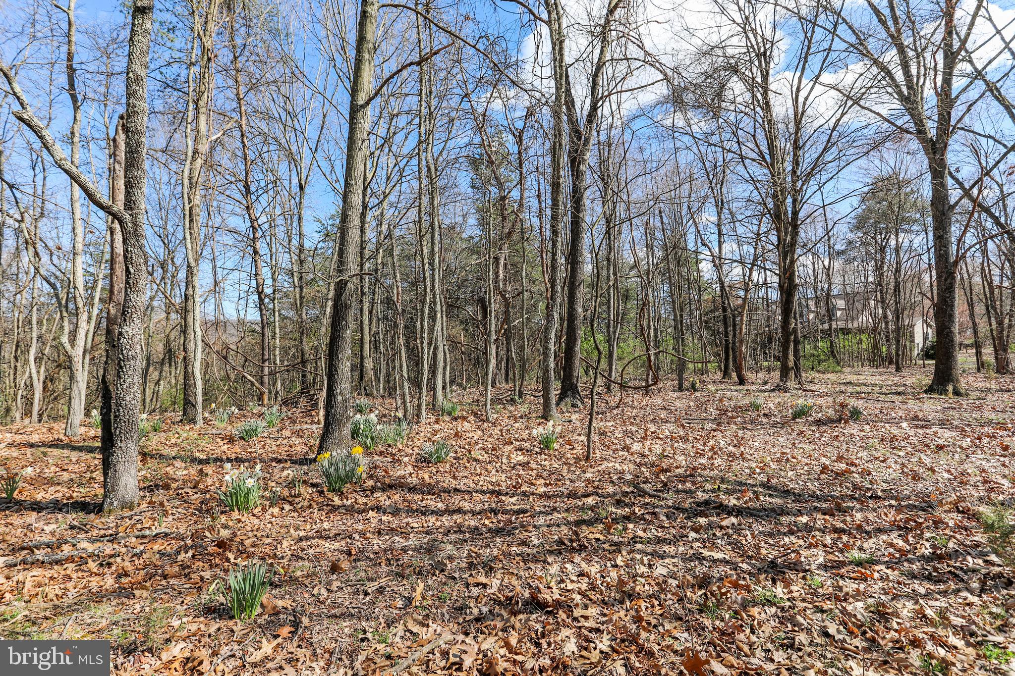 395 Packing House Road Berkeley Springs, WV 25411 - Photo 61 of 83