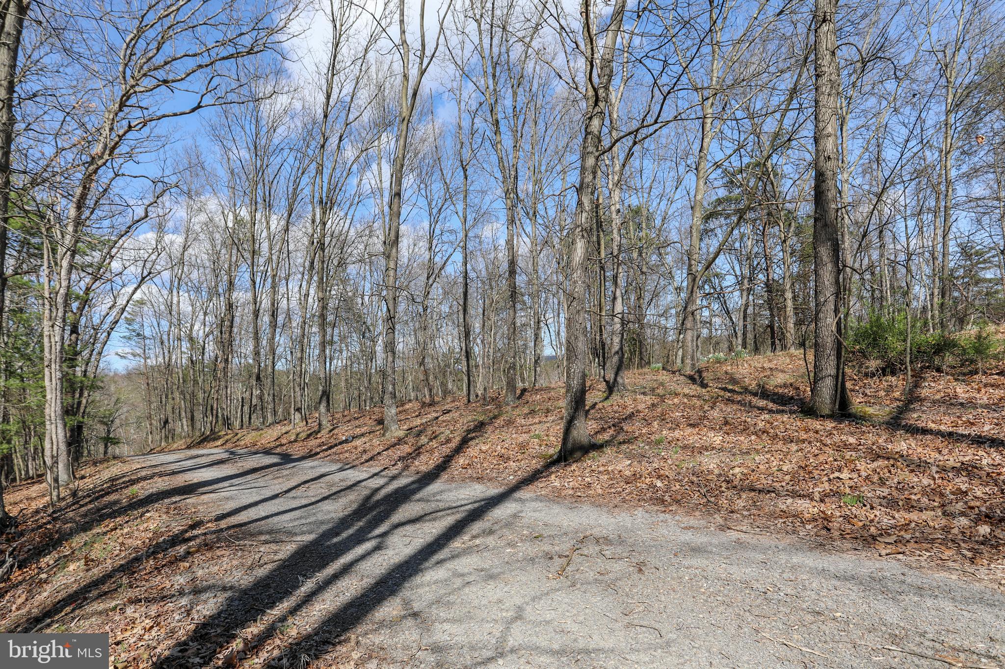 395 Packing House Road Berkeley Springs, WV 25411 - Photo 62 of 83
