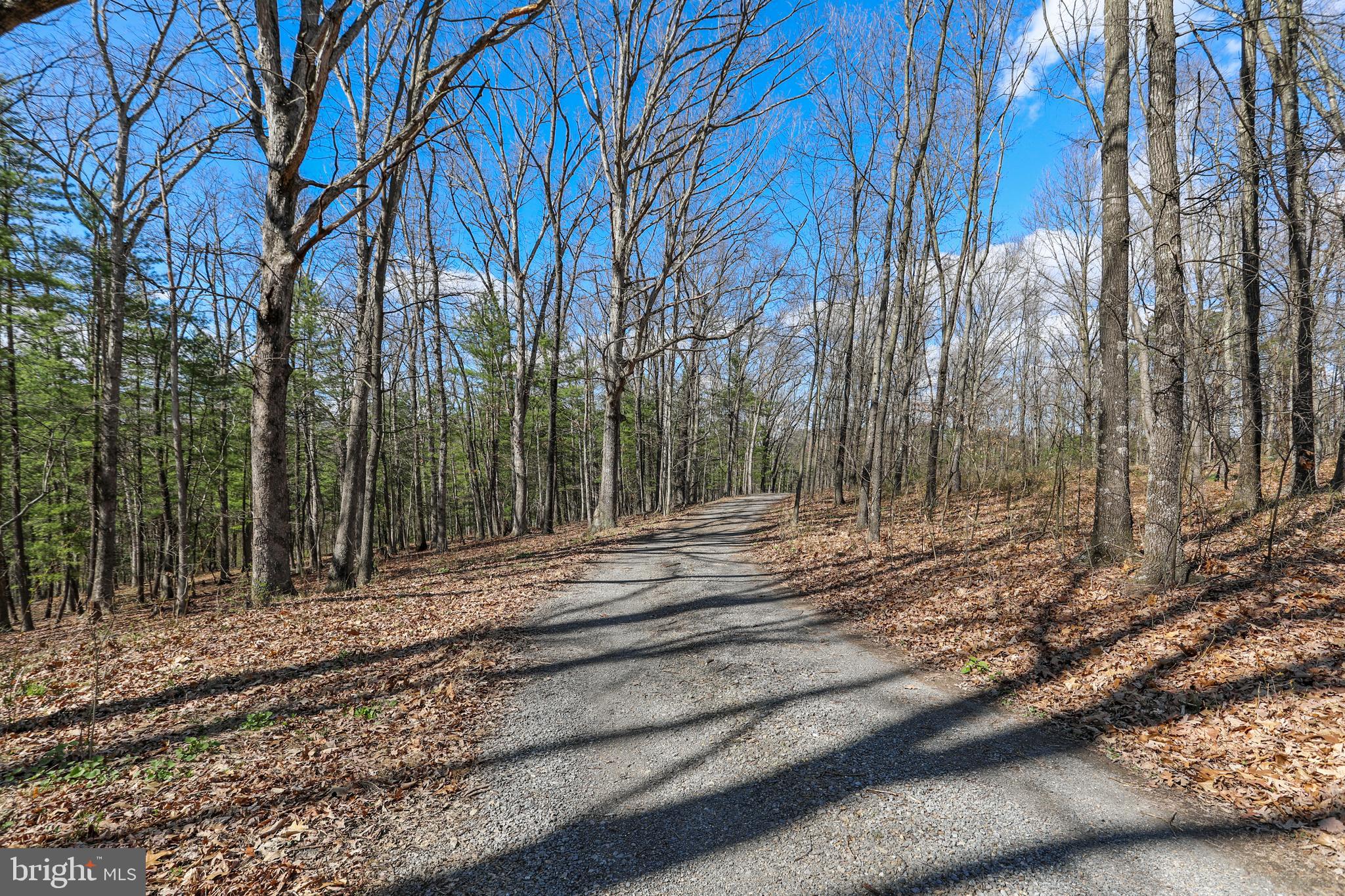 395 Packing House Road Berkeley Springs, WV 25411 - Photo 63 of 83
