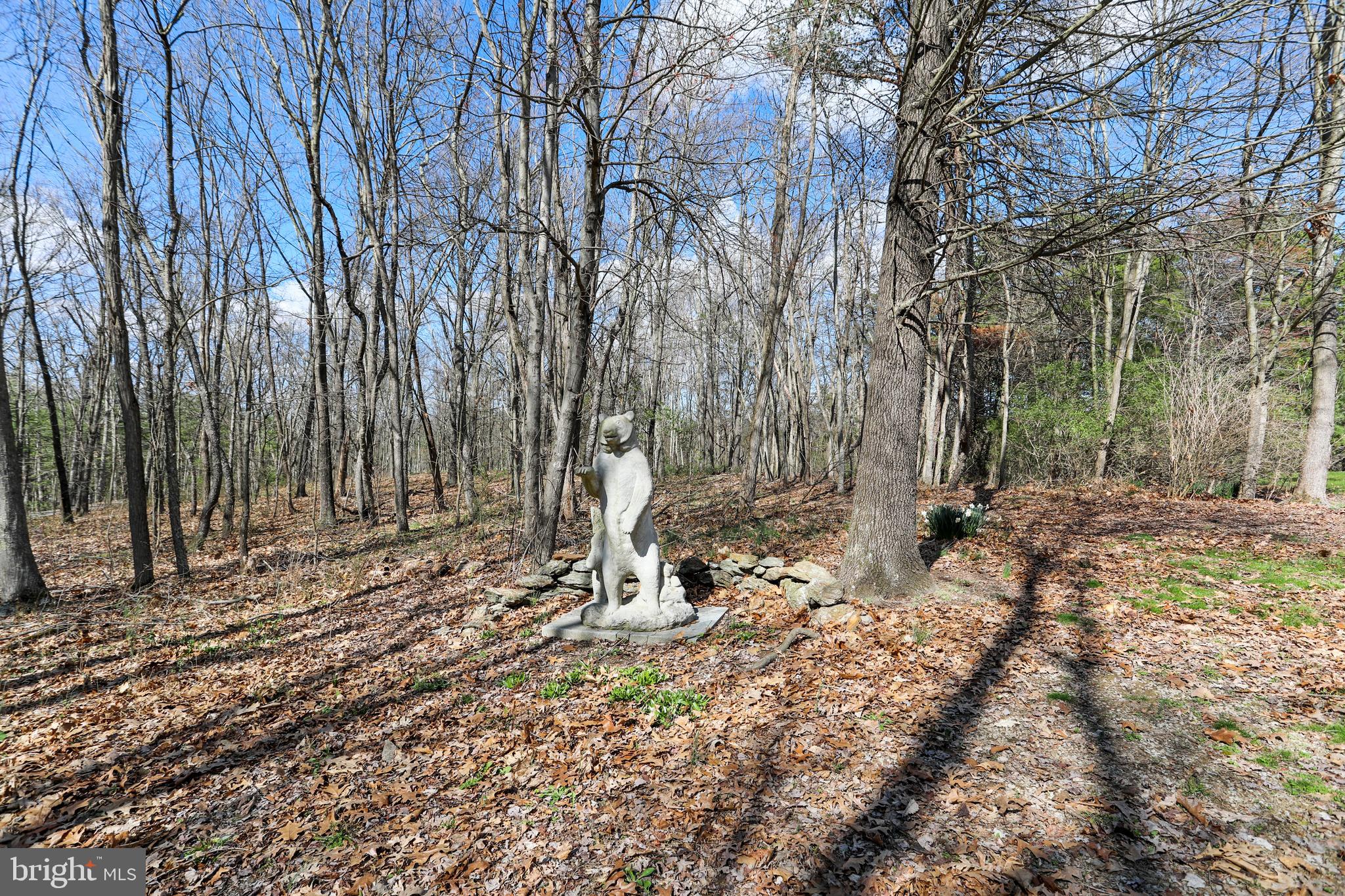 395 Packing House Road Berkeley Springs, WV 25411 - Photo 64 of 83