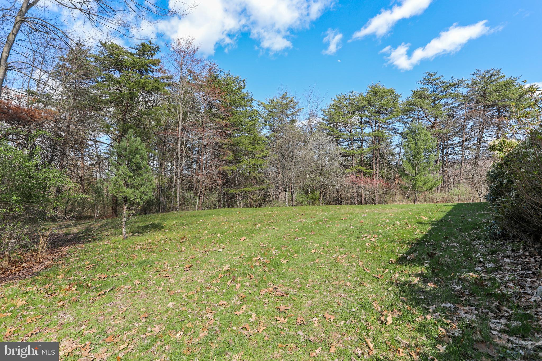 395 Packing House Road Berkeley Springs, WV 25411 - Photo 66 of 83