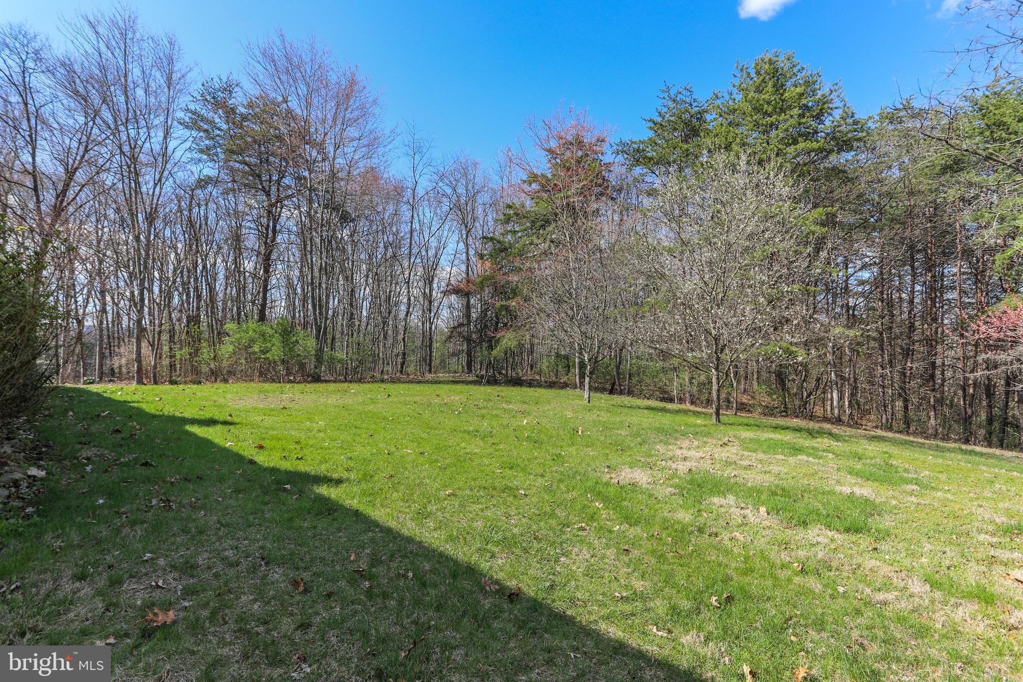 395 Packing House Road Berkeley Springs, WV 25411 - Photo 67 of 83