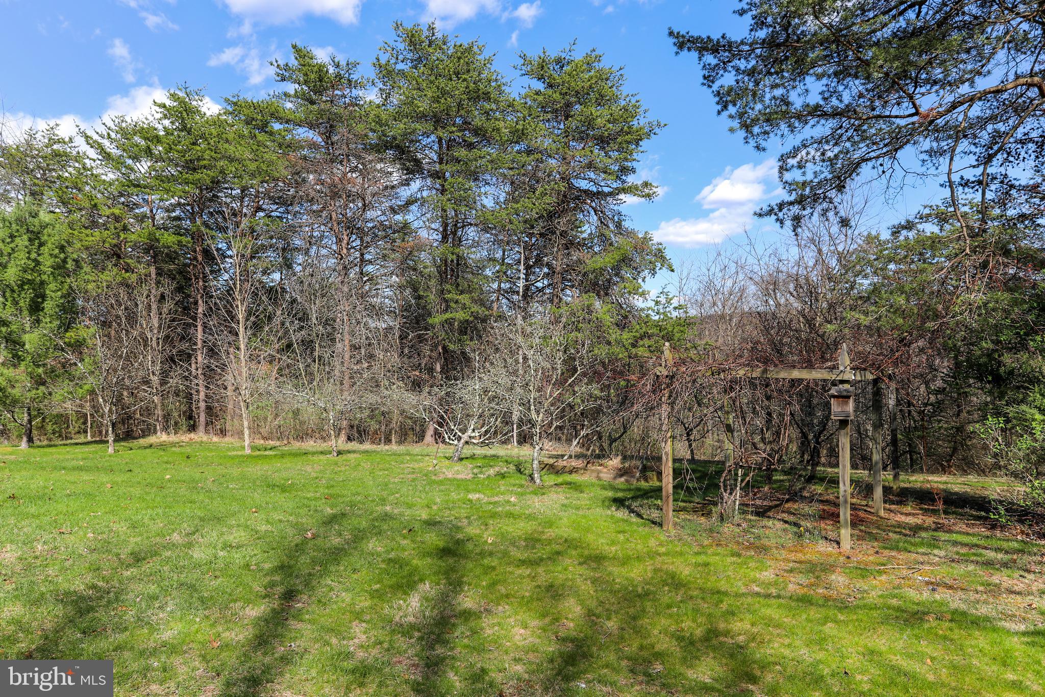 395 Packing House Road Berkeley Springs, WV 25411 - Photo 68 of 83