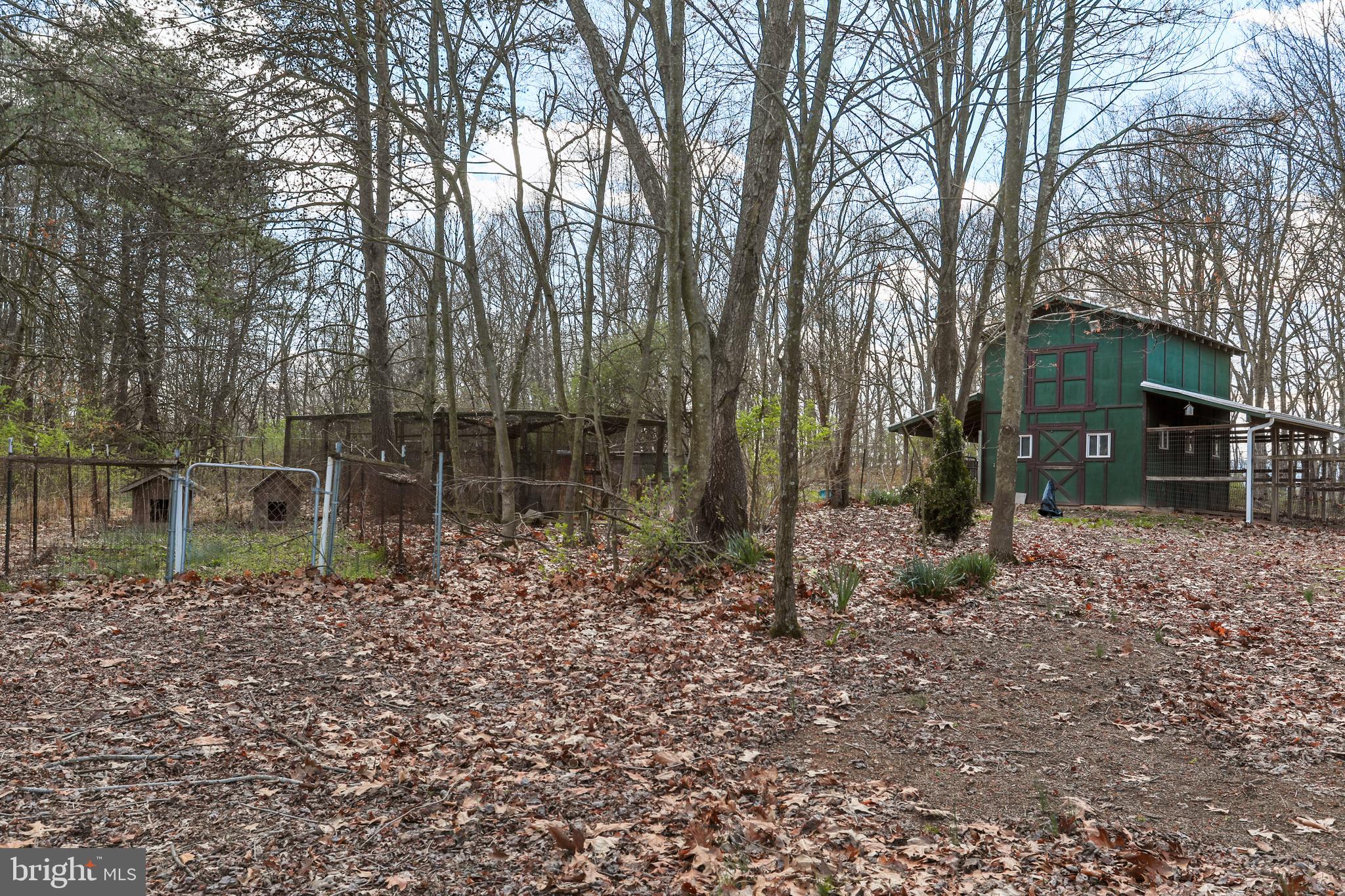 395 Packing House Road Berkeley Springs, WV 25411 - Photo 69 of 83