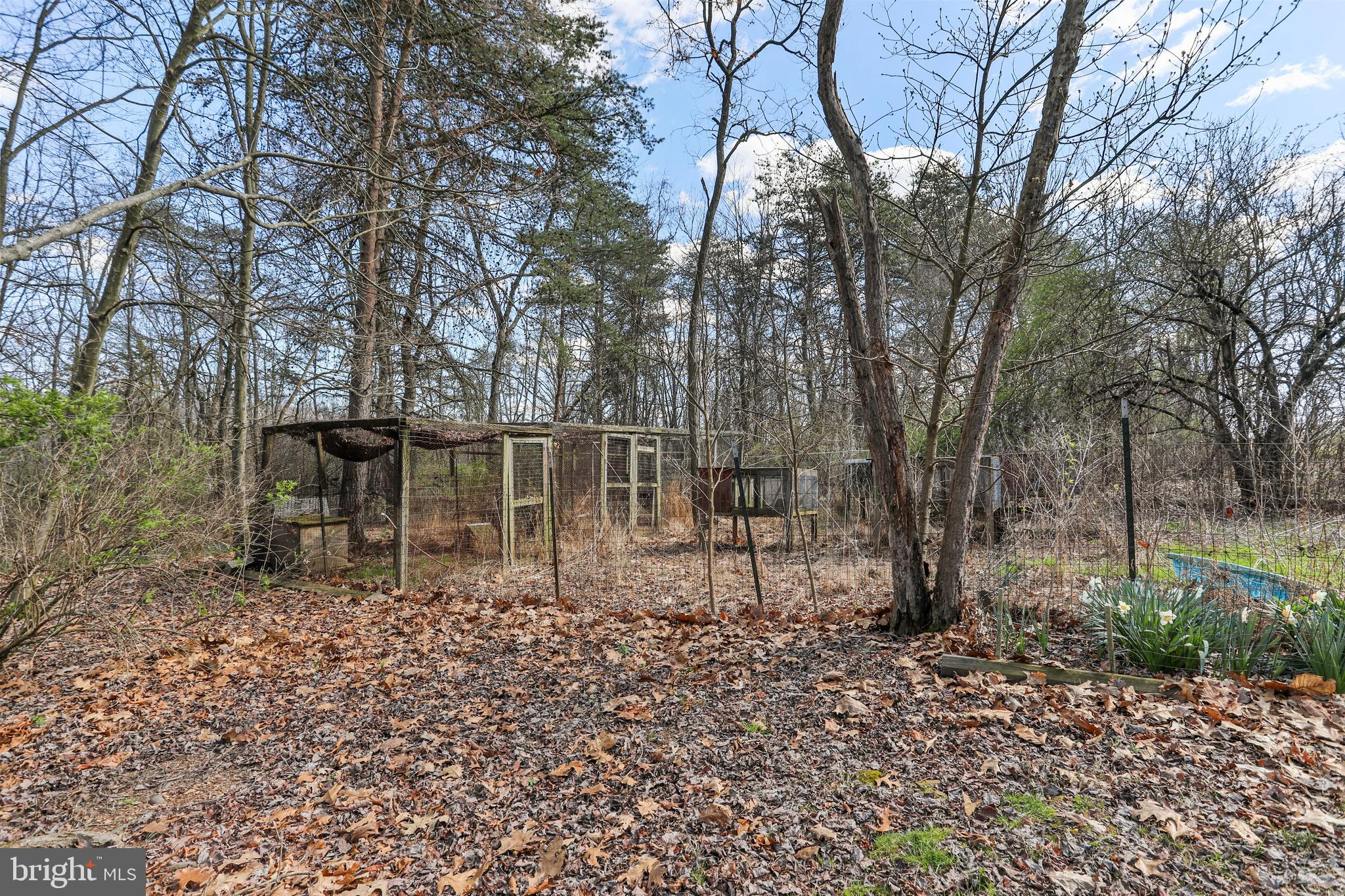 395 Packing House Road Berkeley Springs, WV 25411 - Photo 72 of 83