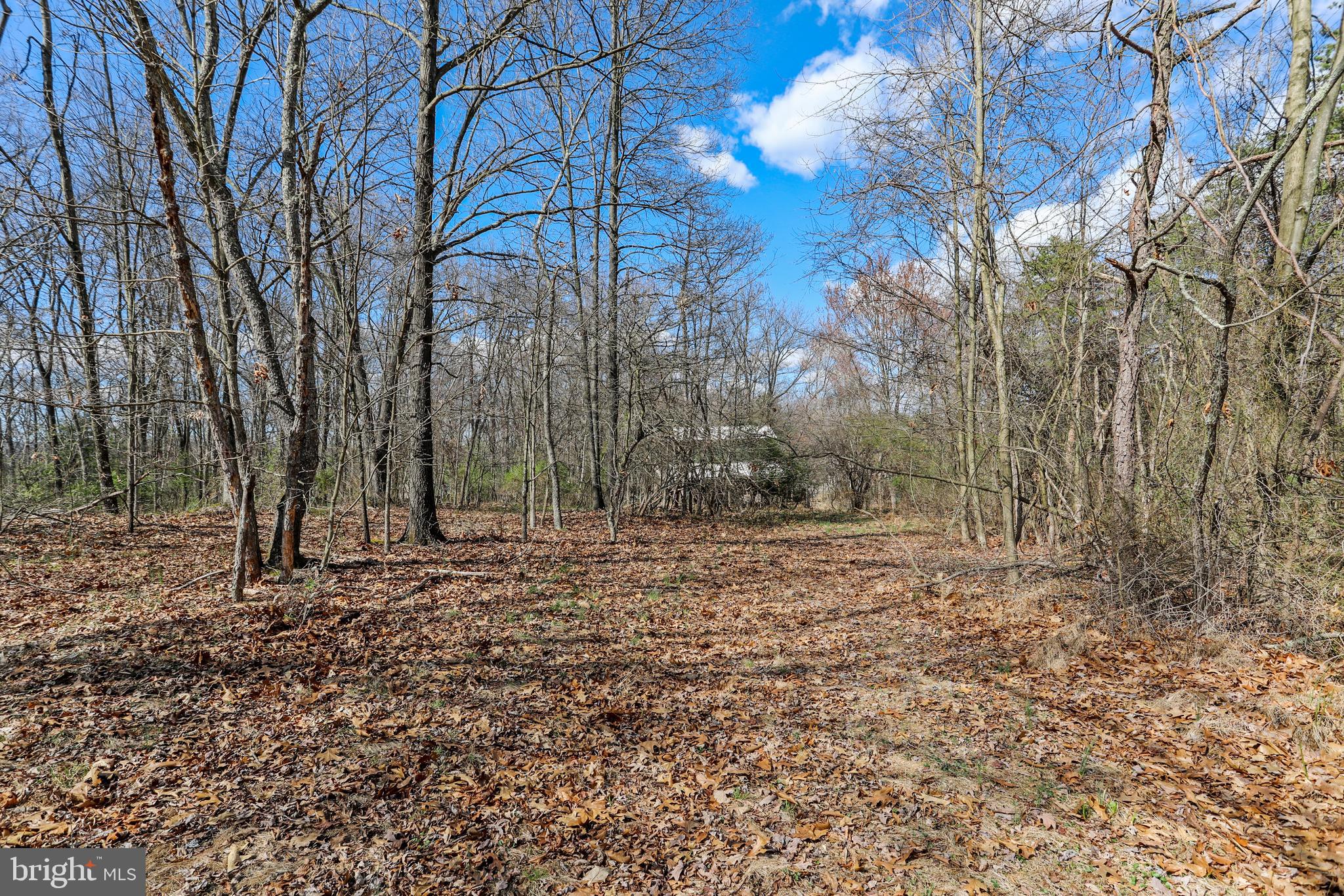 395 Packing House Road Berkeley Springs, WV 25411 - Photo 75 of 83