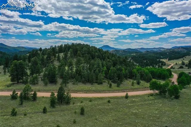a view of a park with large trees