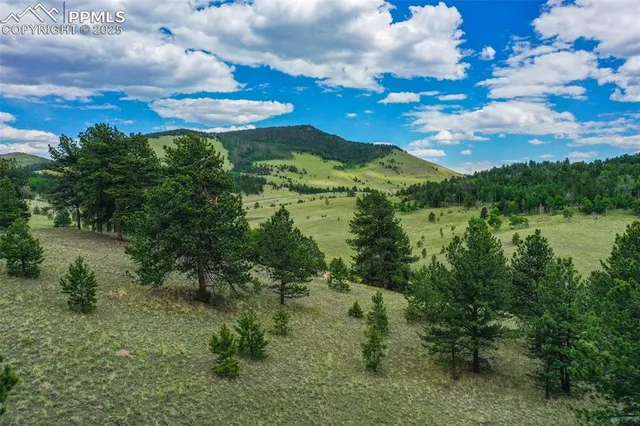 a view of lake with green space
