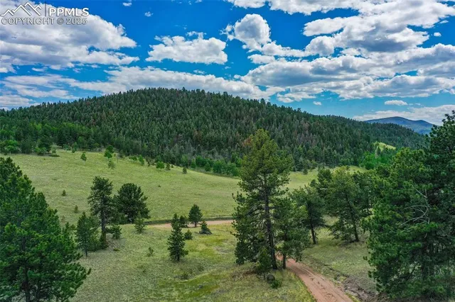a view of a lake with green space