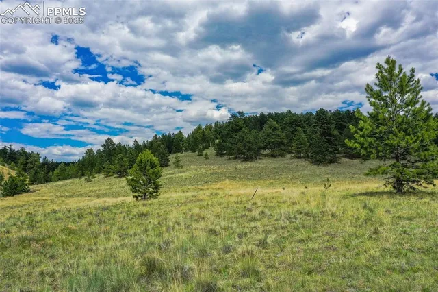 a view of outdoor space and green space