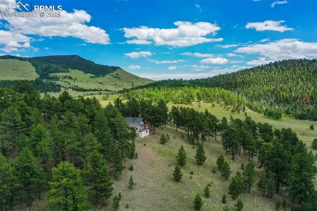 a view of a big yard with lots of green space