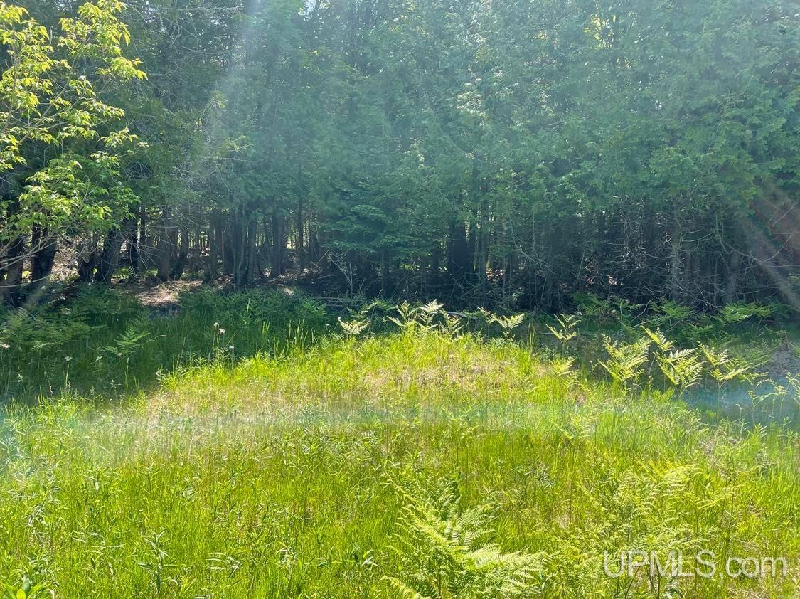 1588 S Little Harbor Road Manistique, MI 49854 - Photo 6 of 6