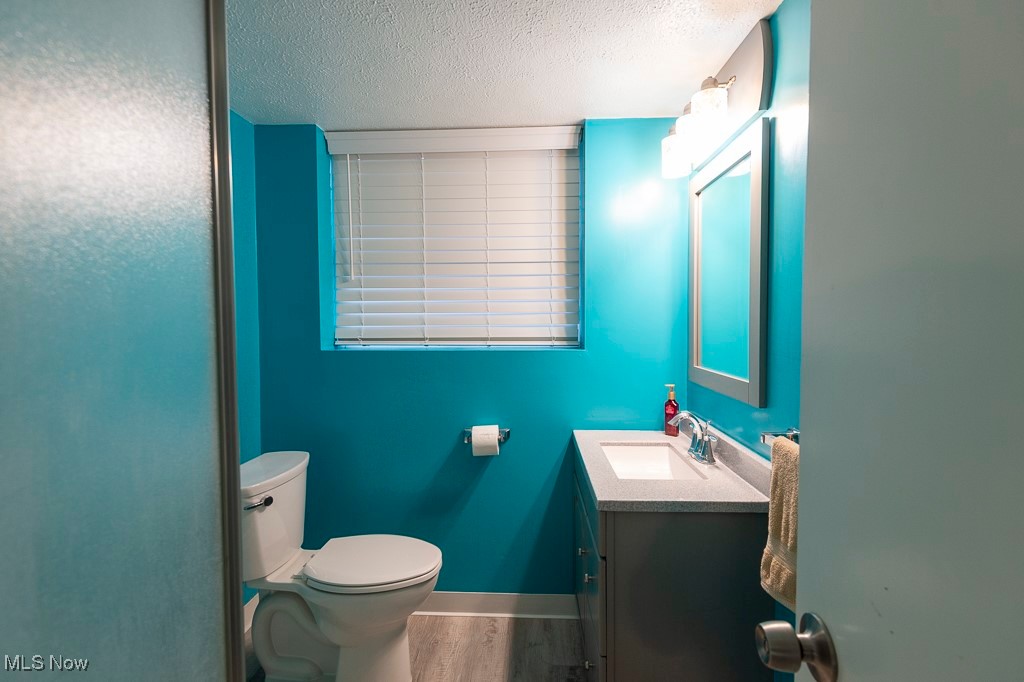 11819 Sheldon Road Mantua, OH 44255 - Photo 29 of 46 Lower level Bathroom featuring luxury vinyl plank floors, vanity, toilet, and a textured ceiling