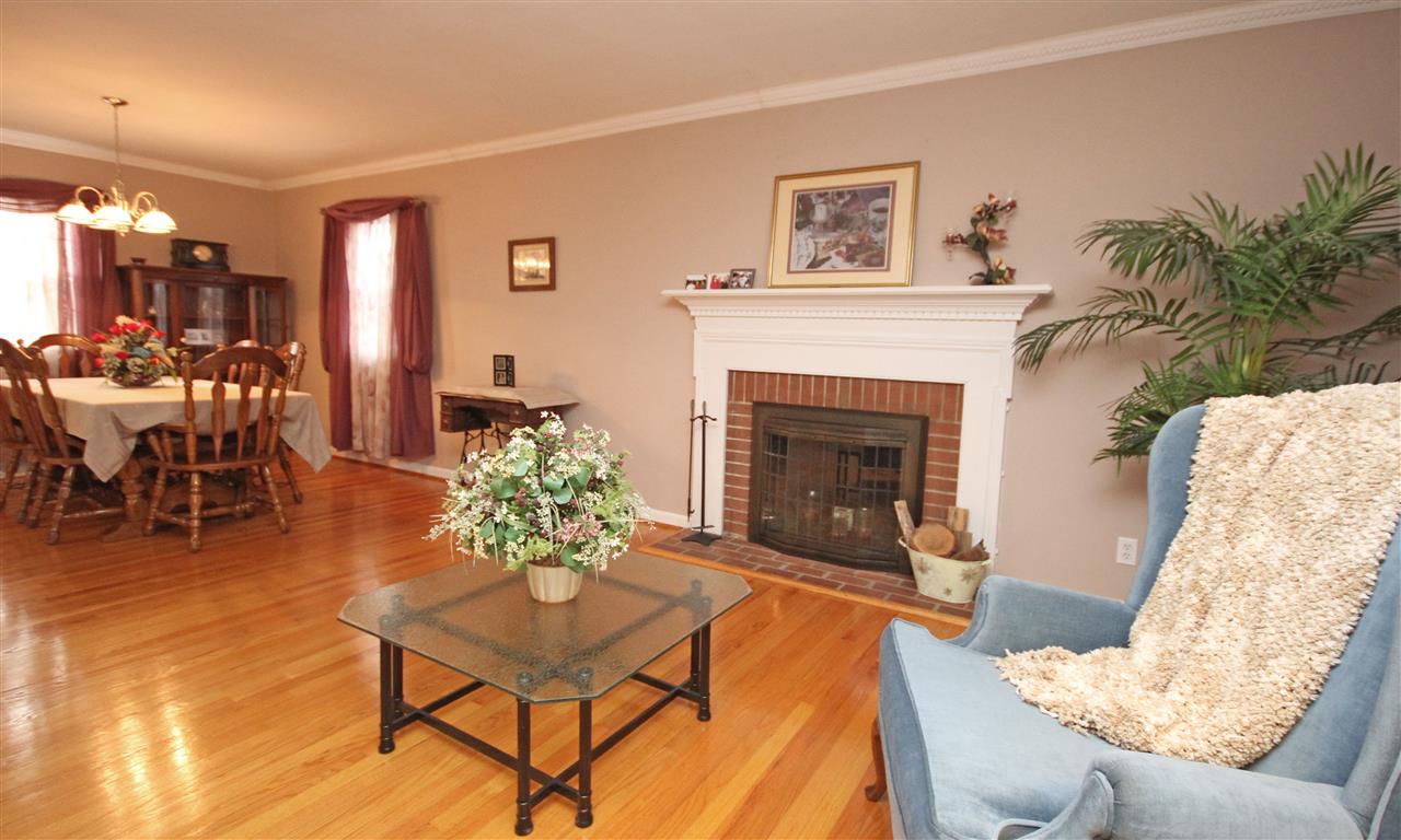 384 Bybee Road Louisa, VA 23093 - Photo 3 of 23 a living room with furniture and a fireplace