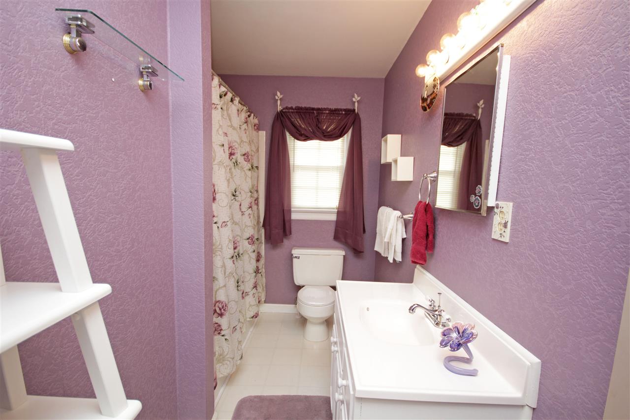 384 Bybee Road Louisa, VA 23093 - Photo 8 of 23 a bathroom with a sink a toilet and shower