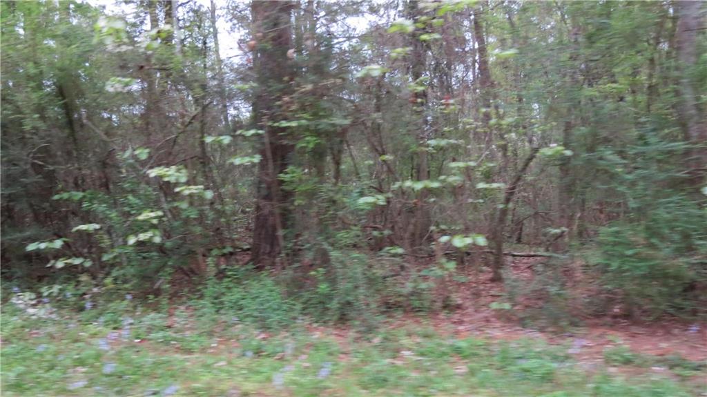 0 Camus Lane Covington, LA 70435 - Photo 5 of 7