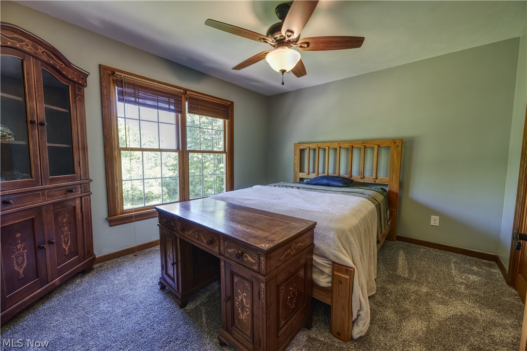 8744 Tippecanoe Road Canfield, OH 44406 - Photo 20 of 46