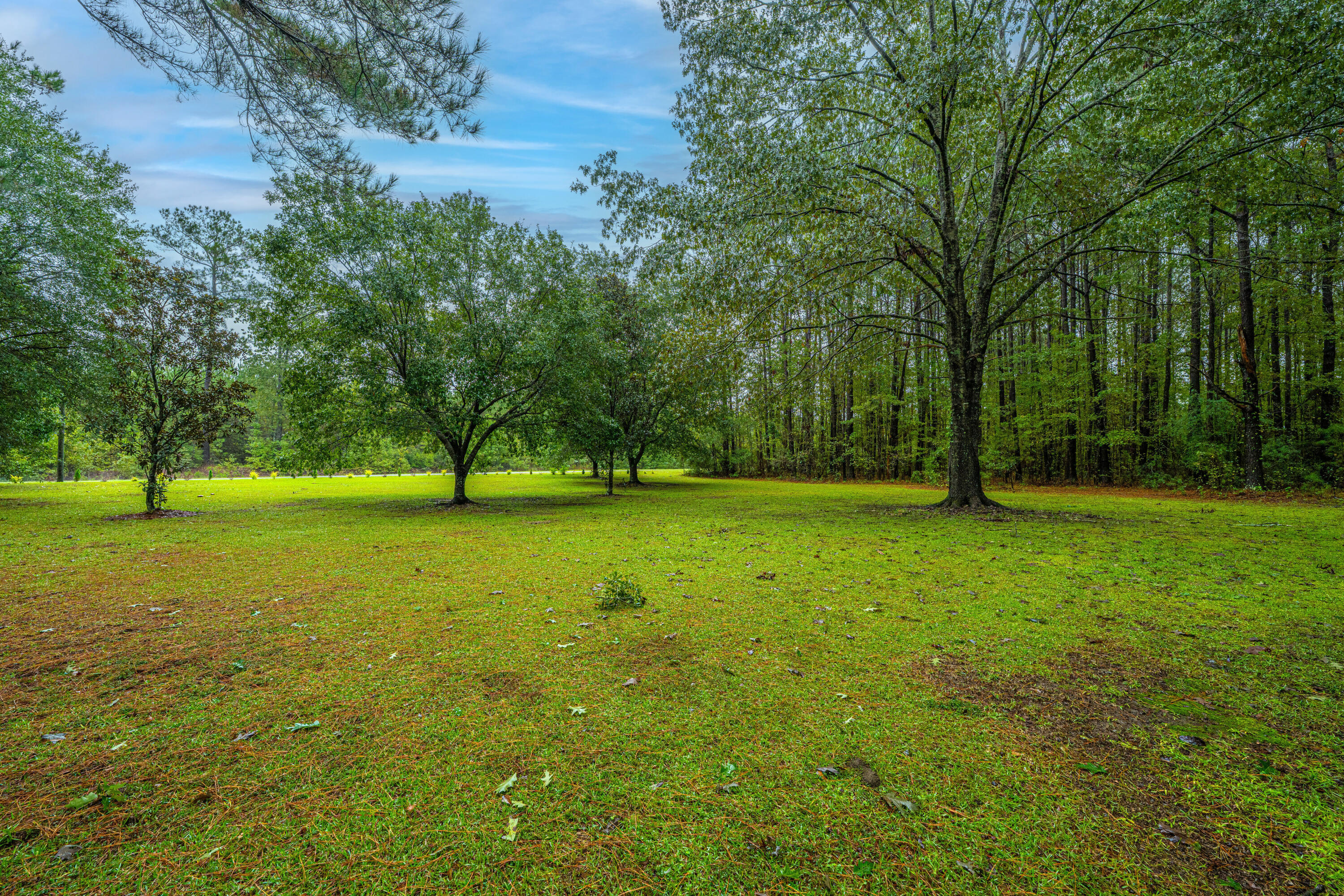 1155 Highway 61 Ridgeville, SC 29472 - Photo 66 of 77