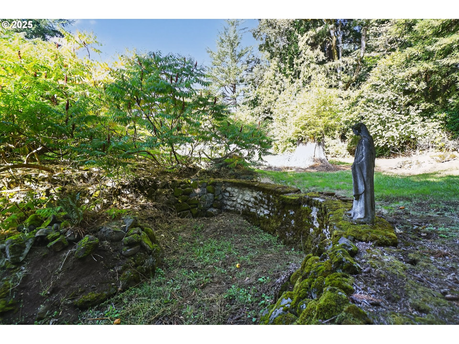 9479 Southeast Hillcrest Road Happy Valley, OR 97086 - Photo 28 of 30 a view of a tree in a yard