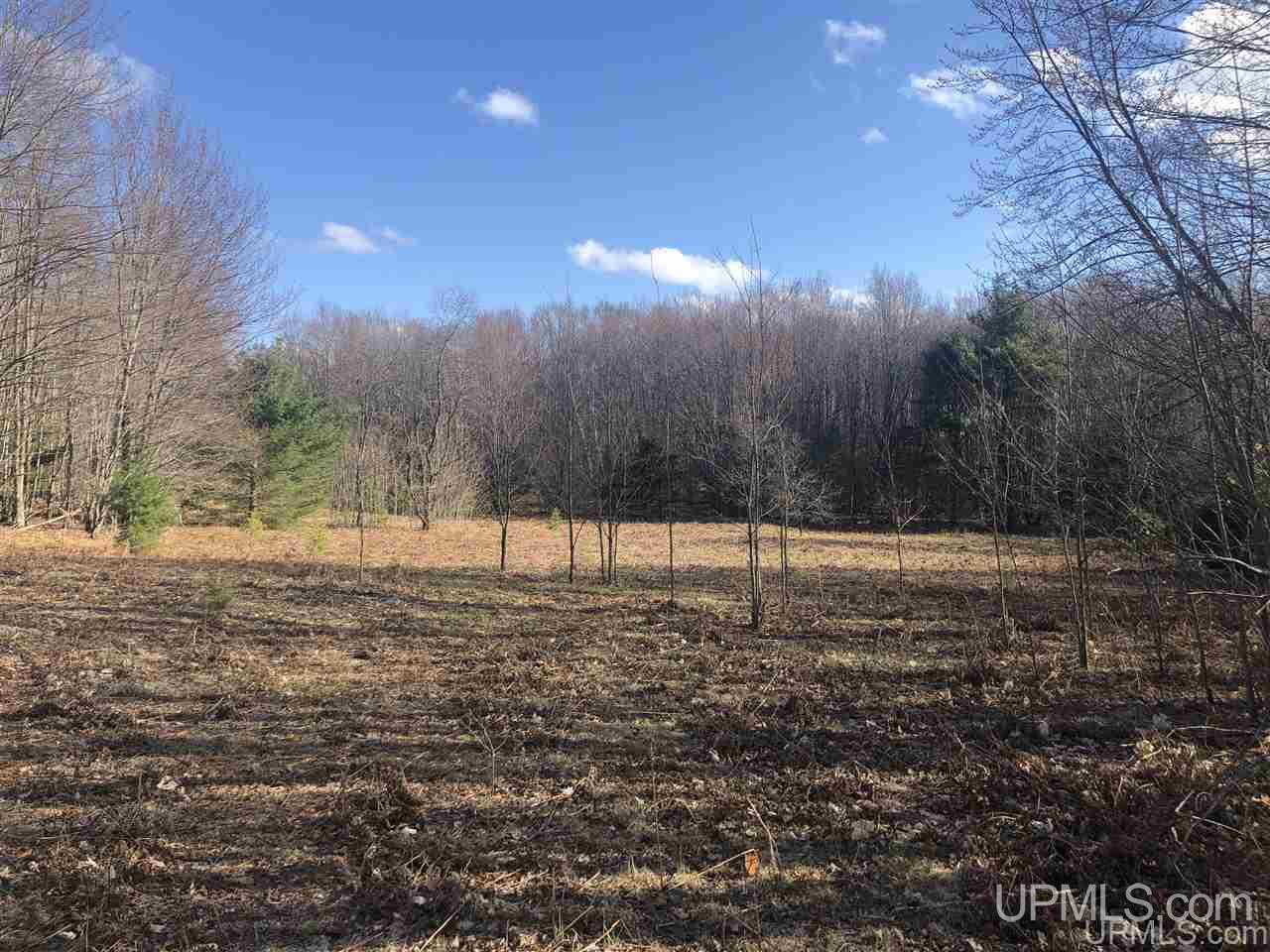 40 West Smith Lake Road Manistique, MI 49854 - Photo 12 of 24