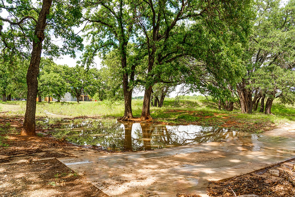 646 Victor Eckhardt Road Fredericksburg, TX 78624 - Photo 45 of 60