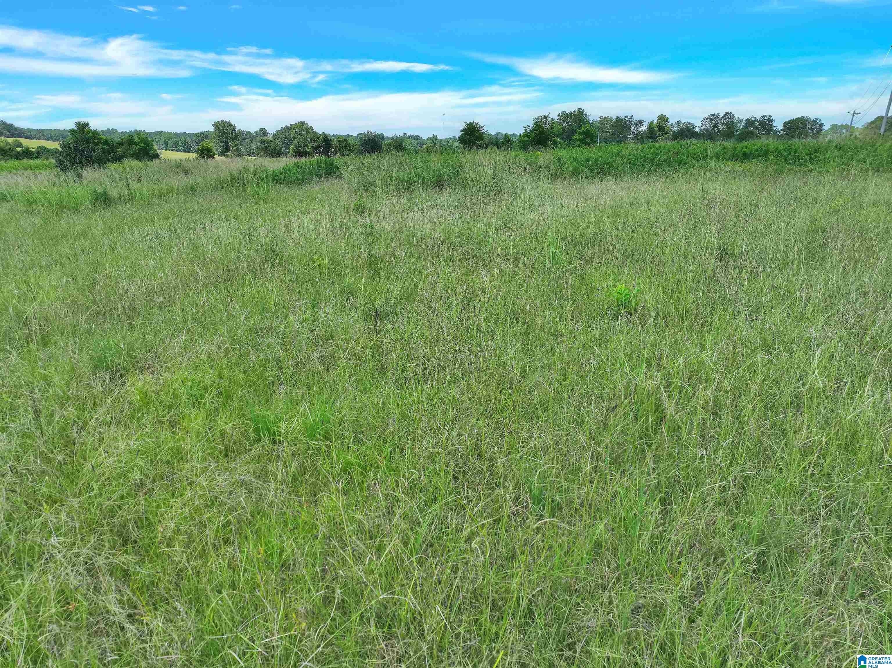0 Highway 191, Unit 1 Jemison, AL 35085 - Photo 1 of 2