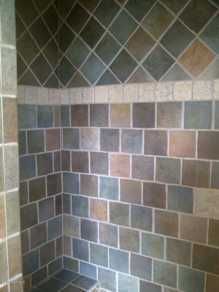 1711 East Hearn Road Phoenix, AZ 85022 - Photo 21 of 25 MASTER SHOWER