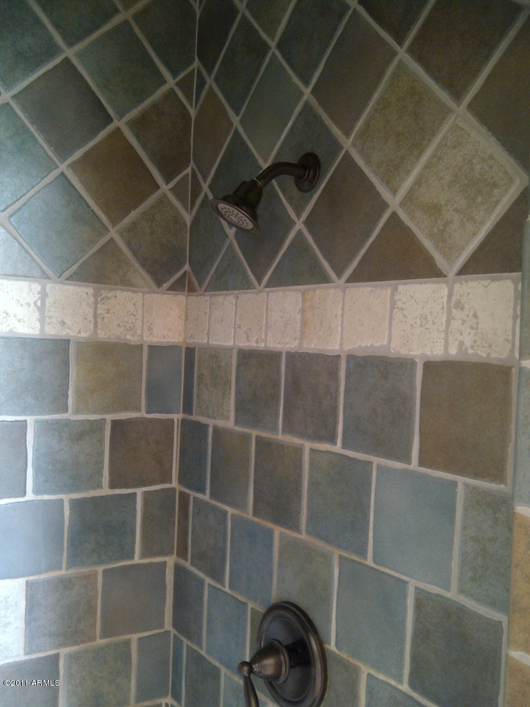 1711 East Hearn Road Phoenix, AZ 85022 - Photo 22 of 25 MASTER SHOWER 2