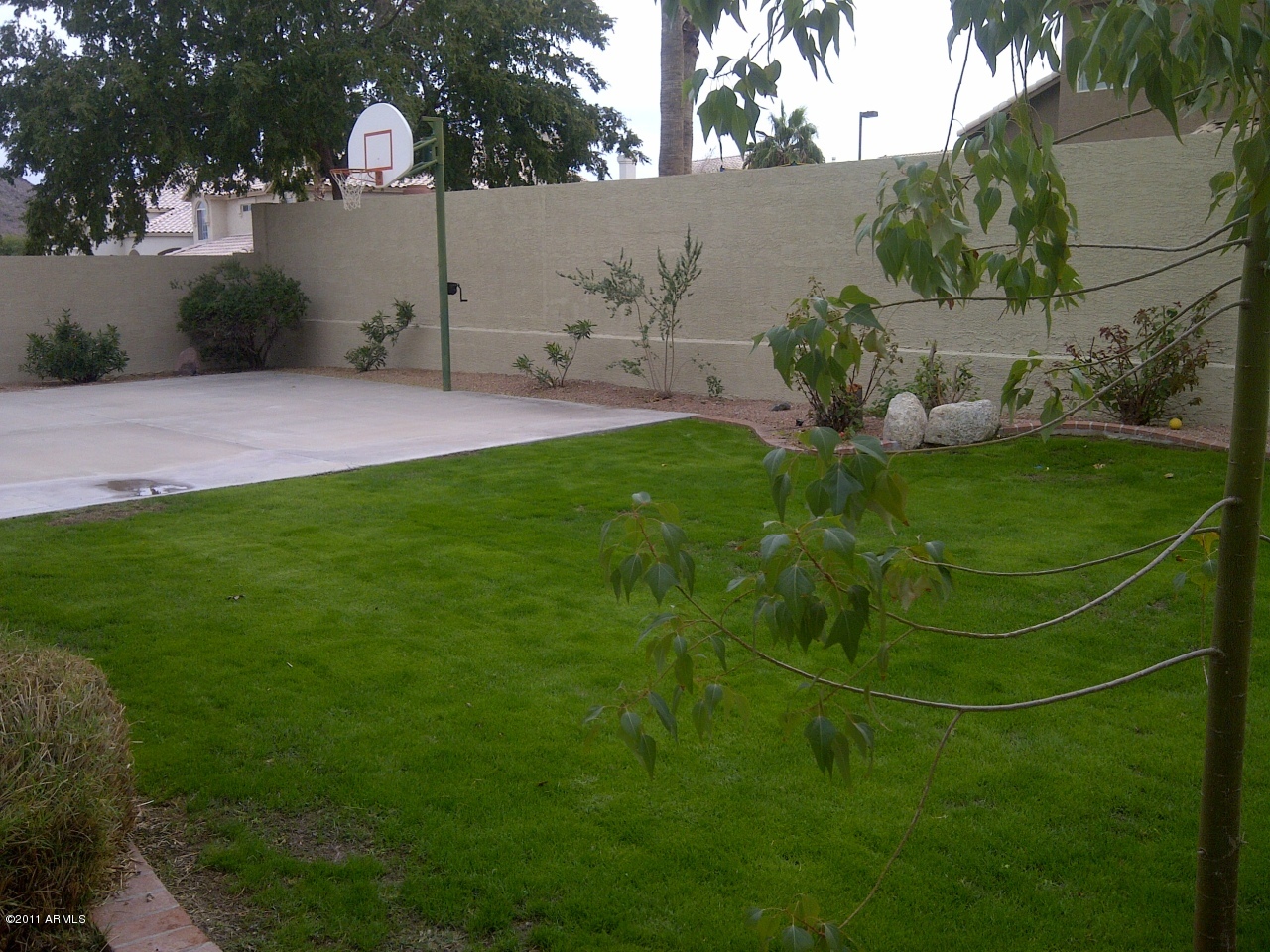 1711 East Hearn Road Phoenix, AZ 85022 - Photo 23 of 25 BACKYARD W/ SPORT COURT