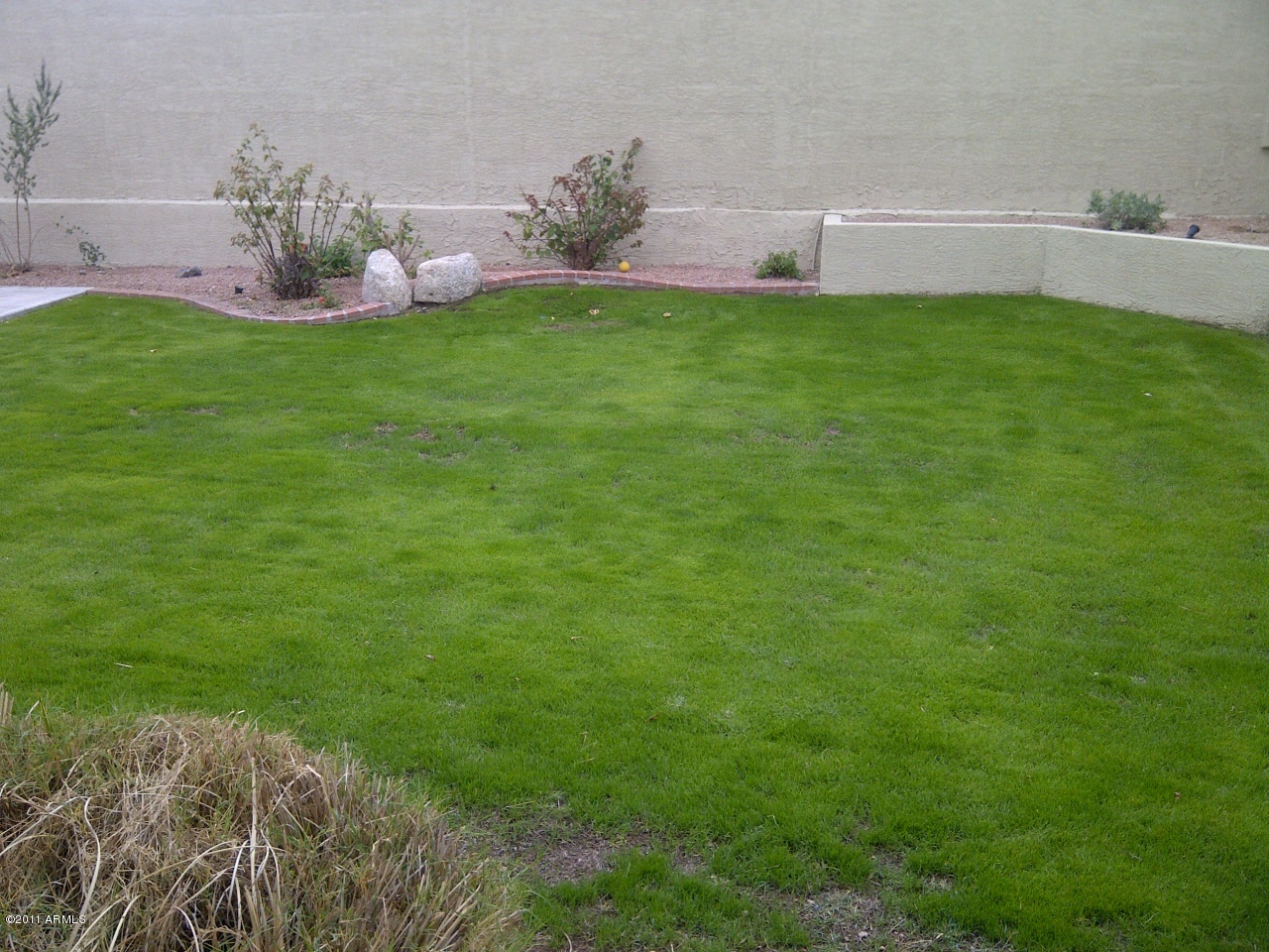 1711 East Hearn Road Phoenix, AZ 85022 - Photo 24 of 25 BACKYARD