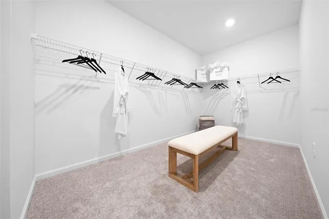 a view of a room with a ceiling fan and a carpet