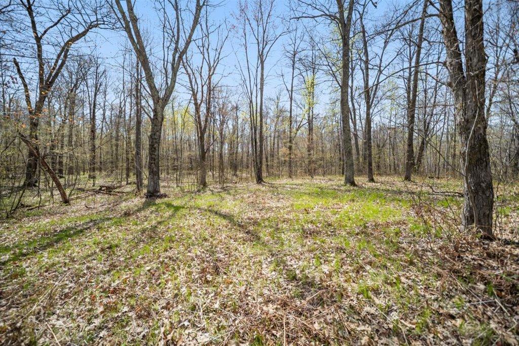 9382 County Road 8 Brainerd, MN 56401 - Photo 81 of 108