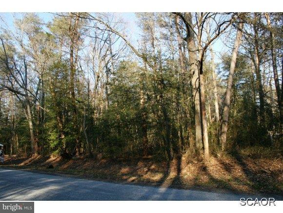 Parsons Road Georgetown, DE 19947 - Photo 1 of 4 Gallery Image 1