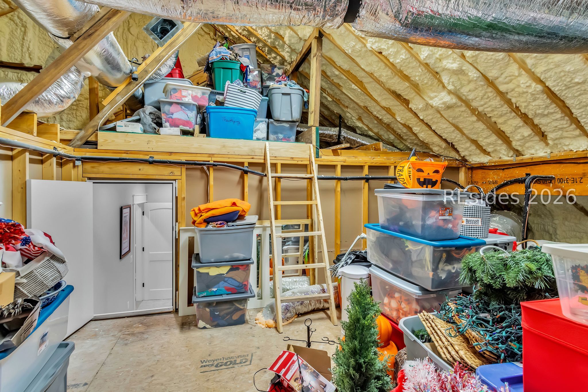 26 Pilot Point Road Ridgeland, SC 29936 - Photo 30 of 63 Walk up floored storage