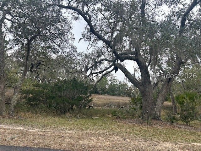 26 Pilot Point Road Ridgeland, SC 29936 - Photo 58 of 63