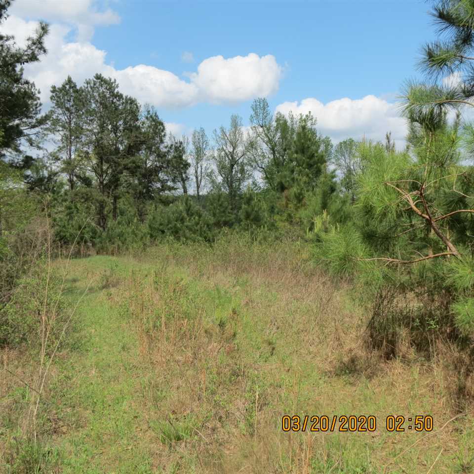 22914 Potter Road Andalusia, AL 36421 - Photo 6 of 7 Gallery Image 6