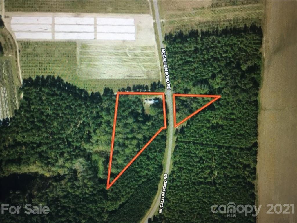 Tbd McCallum Pond Road Candor, NC 27229 - Photo 3 of 3 Gallery Image 3