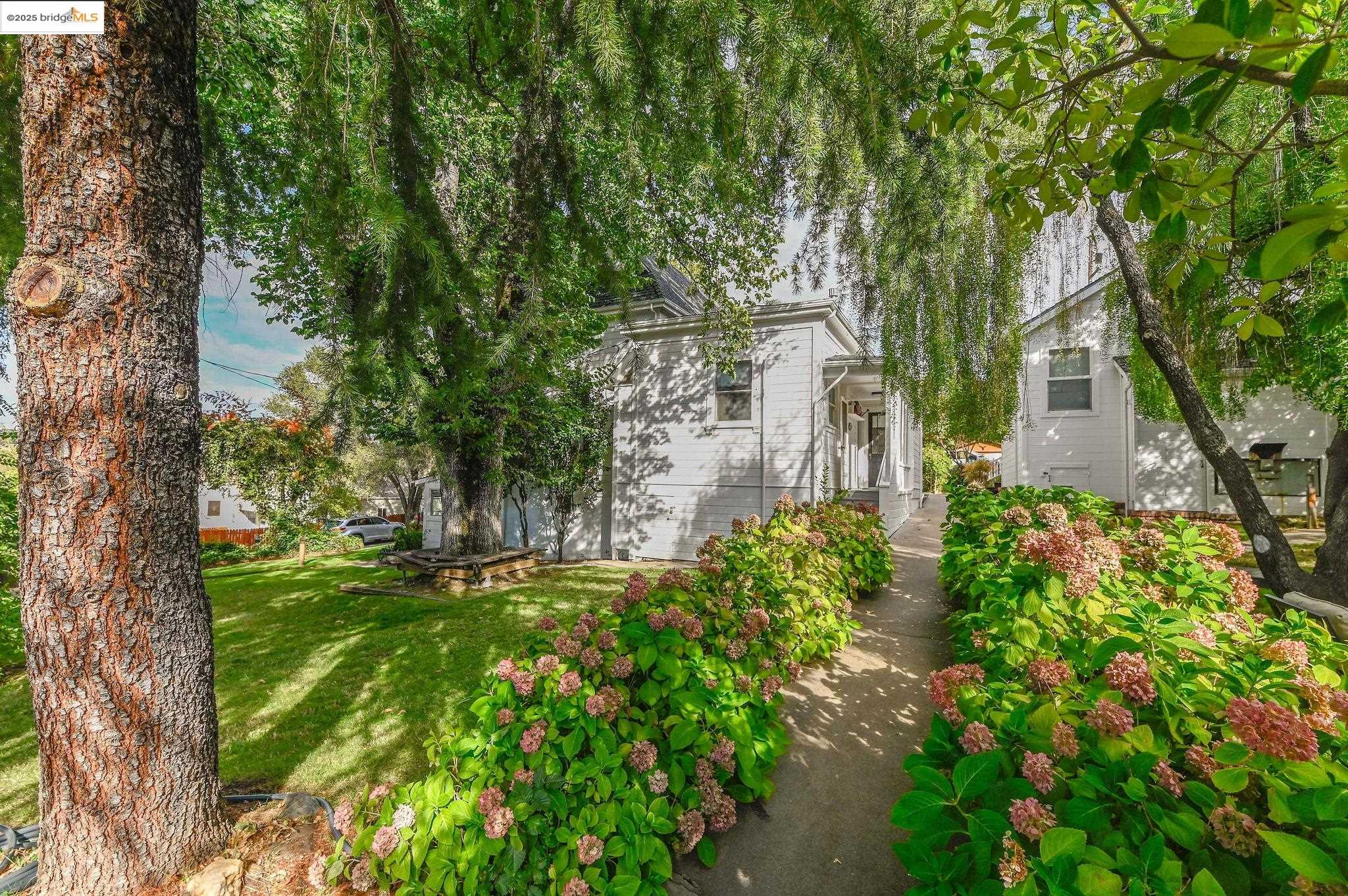 68 Church Hill Road San Andreas, CA 95249 - Photo 11 of 59 a backyard of a house with lots of green space