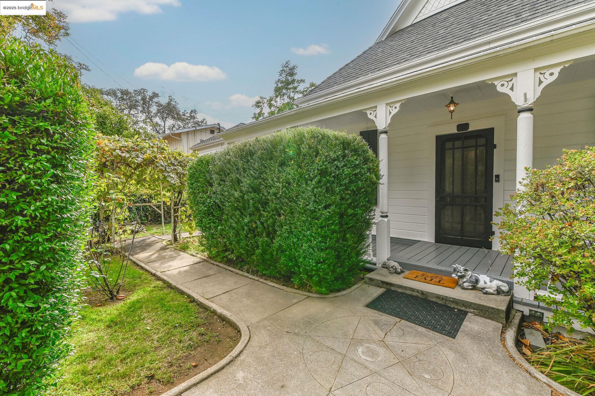 68 Church Hill Road San Andreas, CA 95249 - Photo 13 of 59 a view of backyard with potted plants