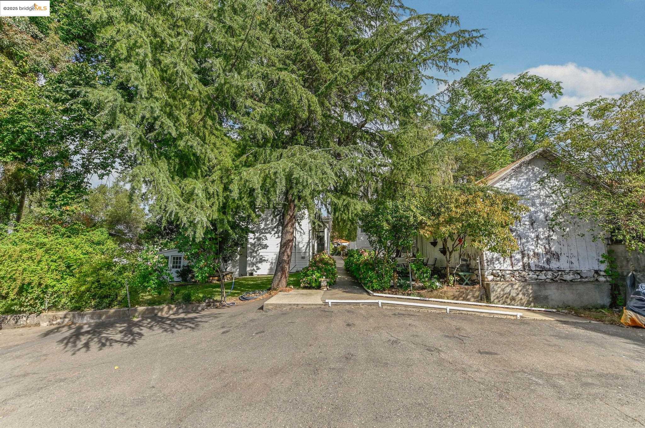 68 Church Hill Road San Andreas, CA 95249 - Photo 22 of 59 a view of a field with plants and trees