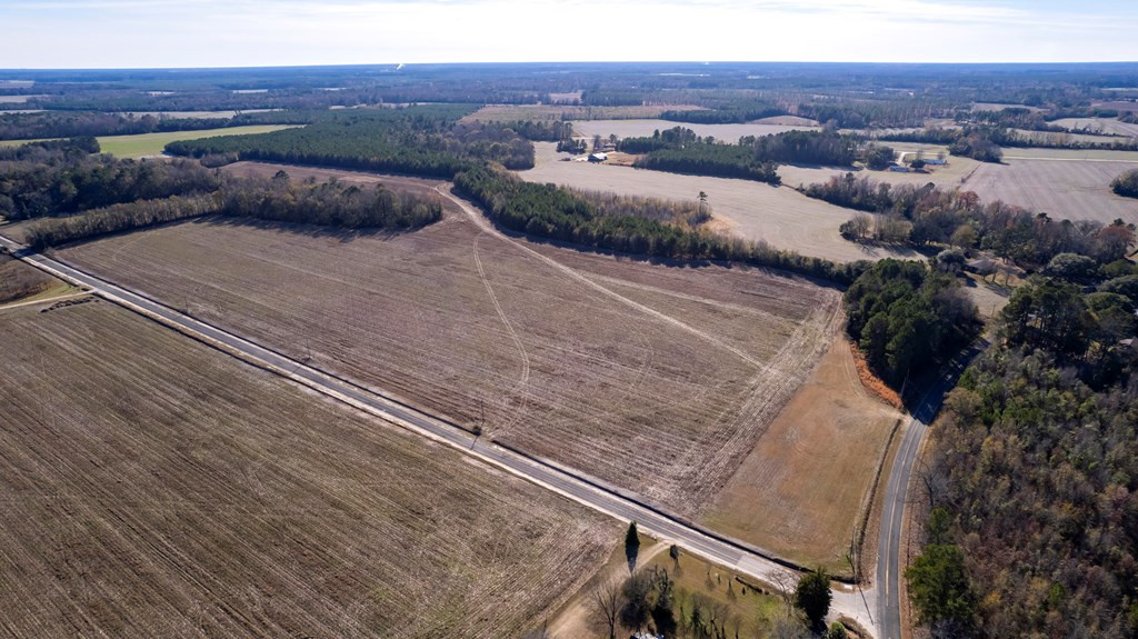 2400 Ike Brunson Road Alcolu, SC 29001 - Photo 9 of 19 Gallery Image 9