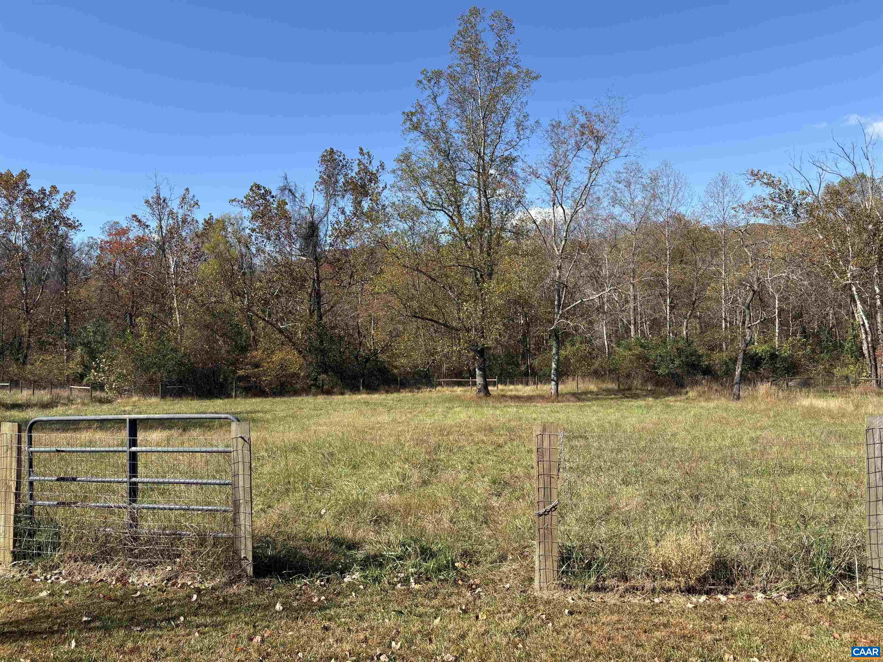 234 Creek Road Afton, VA 22920 - Photo 57 of 68 a view of a yard