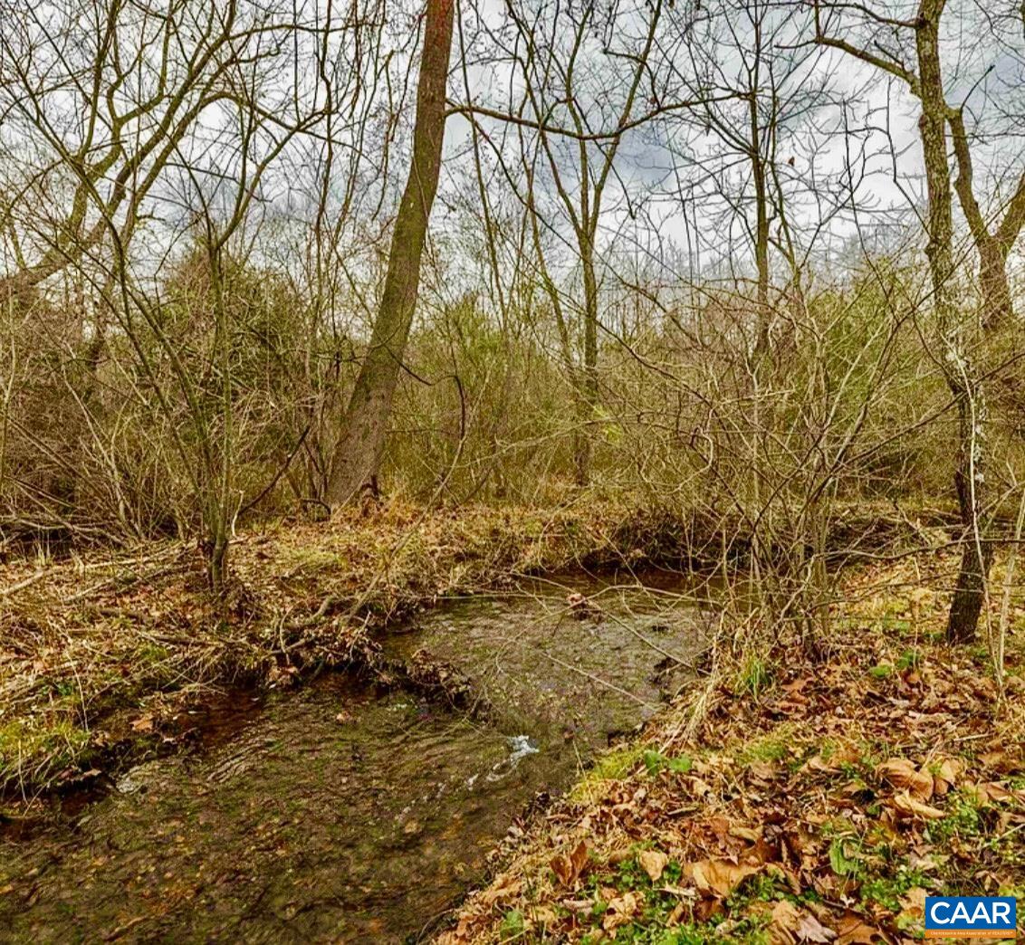 234 Creek Road Afton, VA 22920 - Photo 64 of 68 Mallory Creek