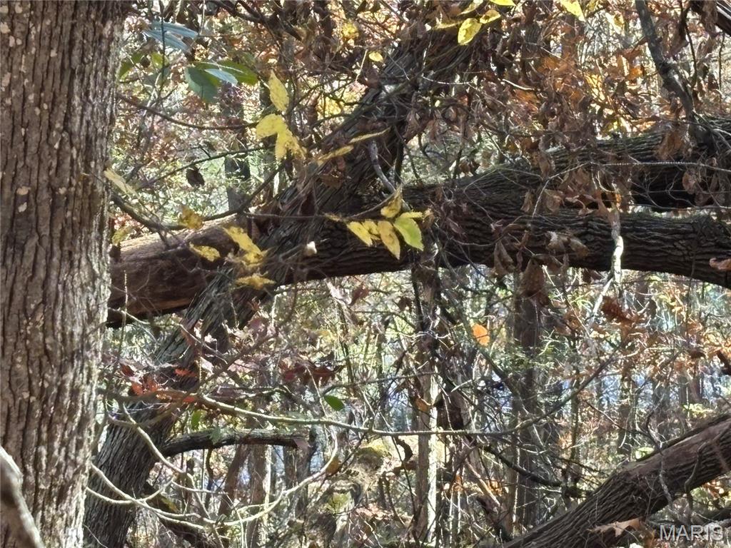 0 Rose Marie Road Ste. Genevieve, MO 63670 - Photo 5 of 34