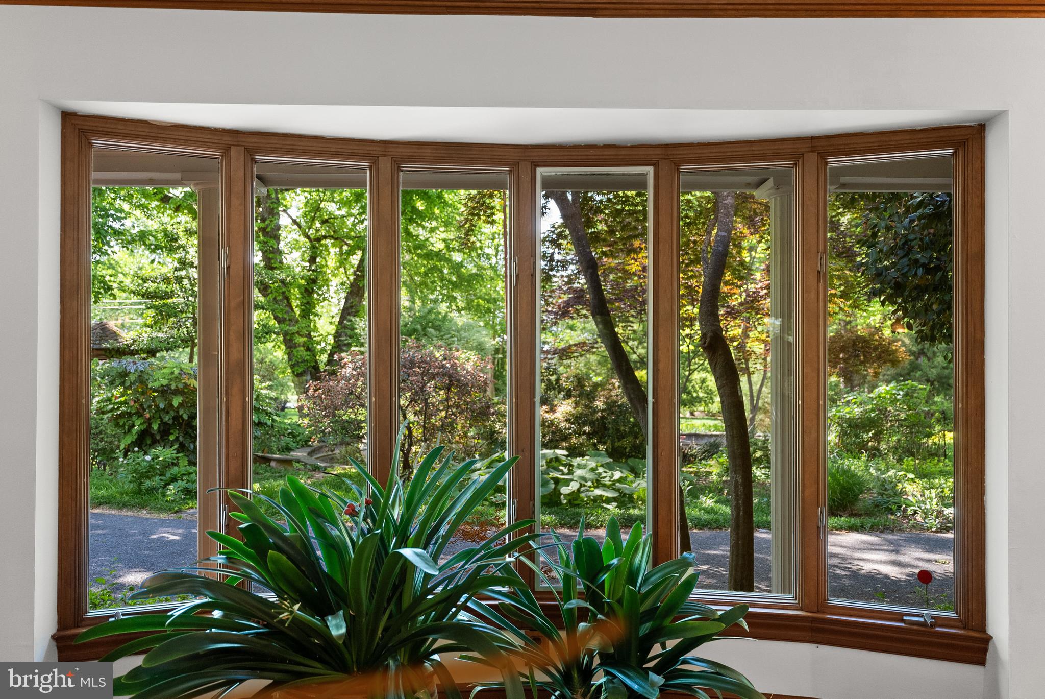 Serene views from the living room