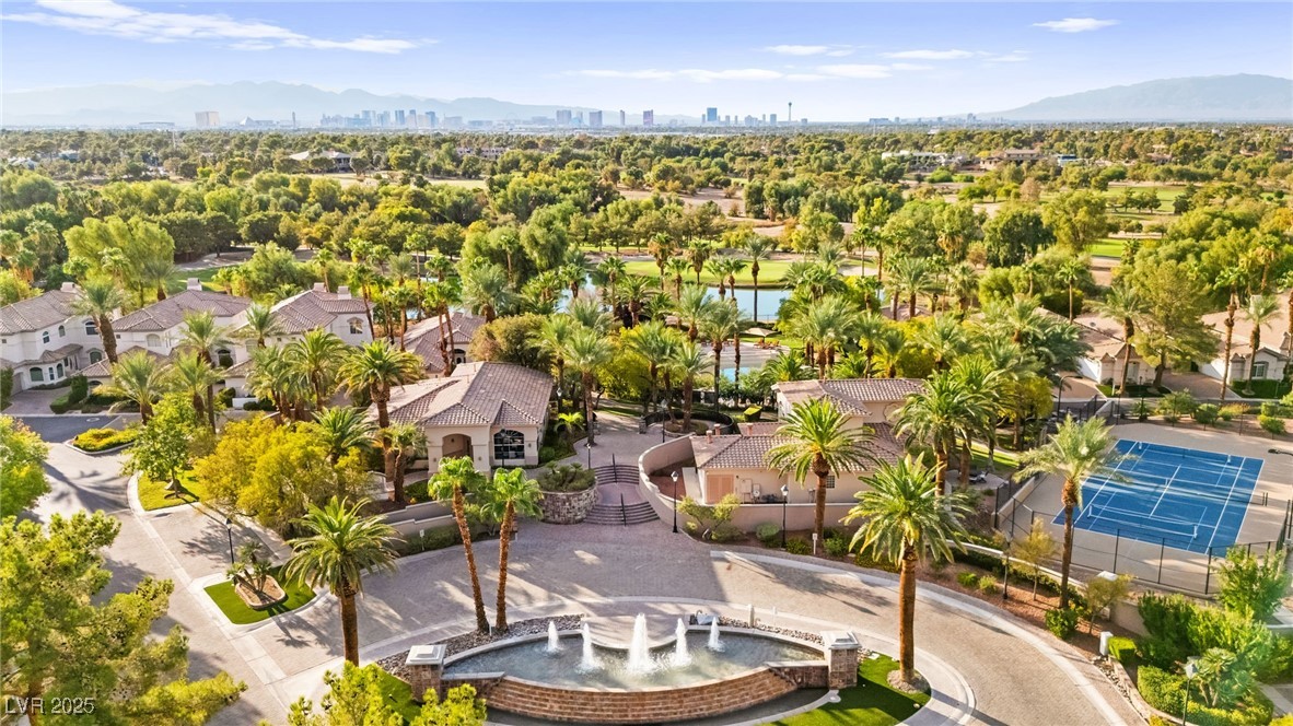 409 Indigo Springs Street Henderson, NV 89014 - Photo 2 of 97